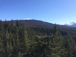 Fototapeta na wymiar Scenic Jasper National Park with perfect blue skies