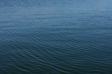 Water drop creating waves and ripples in on a dark blue background