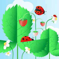 Ladybug on a strawberries. Summer flat illustration 