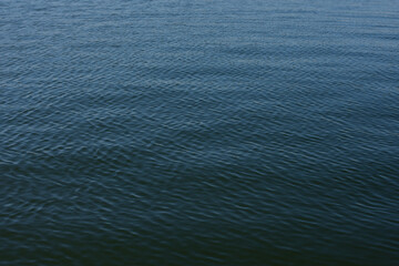 Water drop creating waves and ripples in on a dark blue background