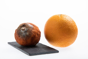 Juicy fresh and ripe orange next to one rotting orange fruit isolated on white