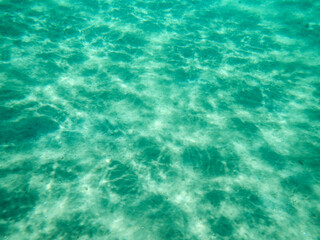 underwater landscape