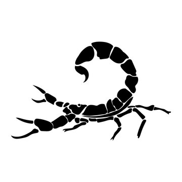 Zodiac sign Scorpio silhouette, one of the 12 horoscope signs, or poisonous arthropod