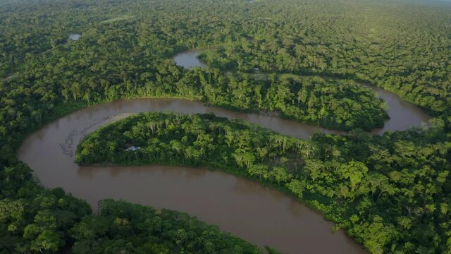 Aerial view over a tropical forest with a river meandering through the canopy of the rainforest and houses of indigenous people of the amazon visible along the river