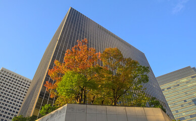 Daytime view of a few autumn trees in a raised urban garden with several surrounding high-rises visible