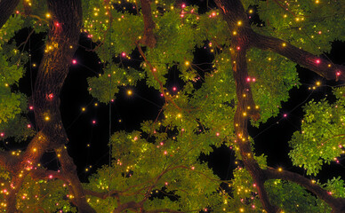 Night view looking directly up at strings of red and yellow lights hanging from a tree