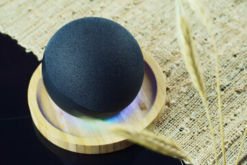 Smart speaker and a virtual assistant. It is used to keep the home connected and give orders by voice to other electronic devices. Modern technology