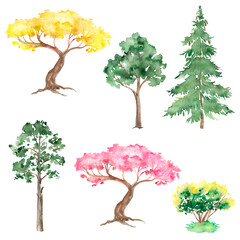 Watercolor illustration of watercolor pine and deciduous trees, trees set, bushes, forest set
