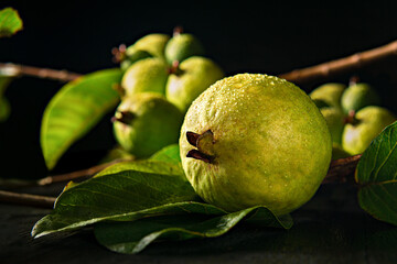 Fresh guavas with green leaves on black background