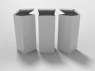 3D Rendering Product Packaging Template