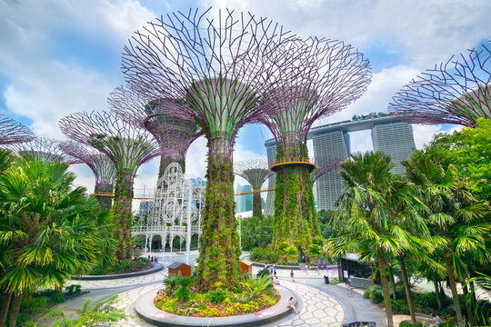 Singapore - November 09, 2017 Beautiful view of Supertree Grove in Gardens by the Bay with Marina Bay Sands in the background.