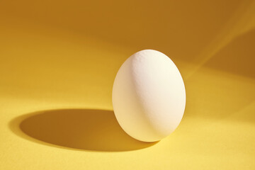 White chicken egg with a shadow on a yellow background.