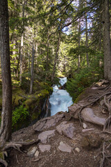 Fototapeta premium Avalanche Creek at Glacier National Park Montana
