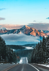 road to the mountains © Tyler