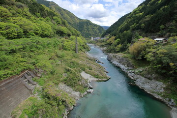 Fototapeta na wymiar 大歩危橋から吉野川を望む　新緑　(徳島県　三好市）