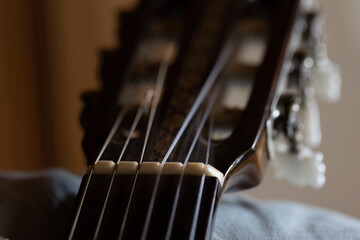 Fototapeta na wymiar Metal and Nylon Strings on a Guitar