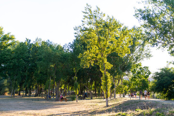 reibera del rio tormes salamanca
