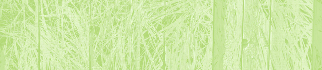 abstract light green background with copy space for design