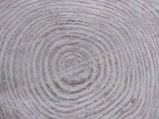 Fototapeta na wymiar Nodule cut of gray tree circle textured