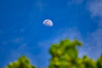 青空に浮かぶ日中の月