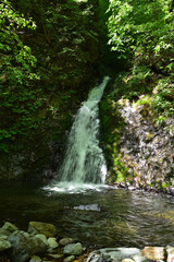 Fototapeta na wymiar Beautiful waterfall in a green forest