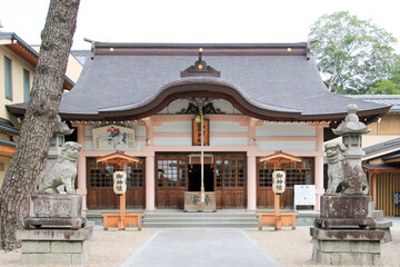 Fototapeta premium 岡崎城