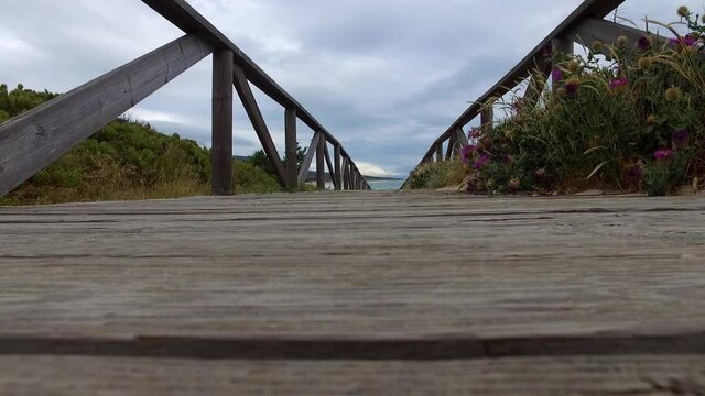 Wooden footpath with vegetation to the sides. When the camera moves up you can see the footpath goes along the beach,