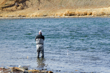 Fototapeta na wymiar Fly-fishing on the Bow river