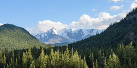 summer mountain landscape with snowy peak.