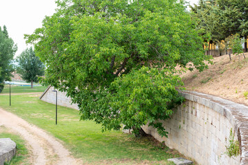 PIEDRAHITA AVILA DETALLES DE LA VILLA 