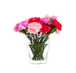 Stack Carnation flowers on white background
