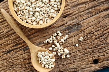 White millet seed raw in wood bowl on table