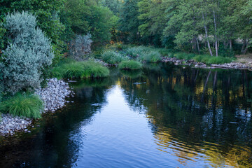 PISCINA NATURAL GREDOS RIO ARAVALLE LA CARRERA