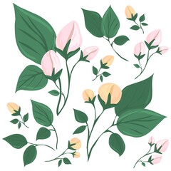 A branch of a blossoming tree. Leaves and flowers. Unblown bud. Isolated vector botanical clip art element for design.