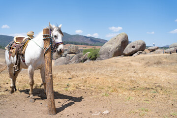 El caballo está en las Piedras de Tapalpa Jalisco. © jesuschurion57