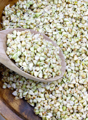 Sprouted buckwheat seeds in wooden plate. Healthy vegan food. Vegetarian food. Nature vitamins. Super food