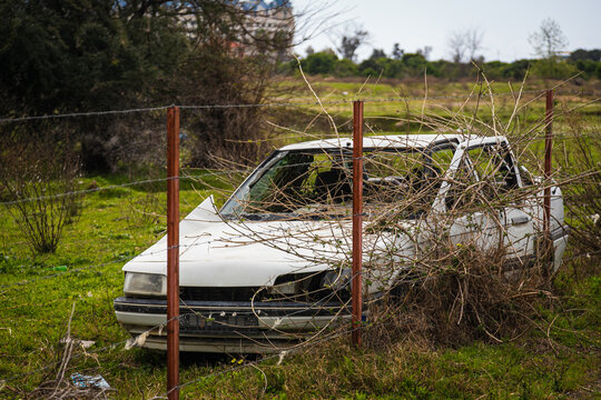 An Old Abandoned White Car Sedan With A Broken Roof, Broken Glass, Flat Wheels, Through Which Trees And Grass Have Sprouted Against The Background Of A Field