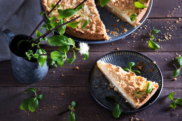 Beautiful and tasty curd pie on a wooden background surrounded by greenery. Spring breakfast, herbs, morning, homemade cakes. Selective focus.