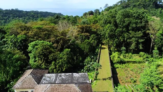 Aerial view over the Roca Paciencia and rainforest, in Príncipe - rising, drone shot
