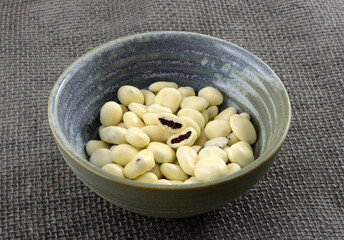 Greek yogurt covered cranberries in ceramic snack bowl on gray burlap