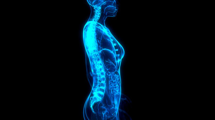 cg medical 3d illustration, chine on x-ray human body