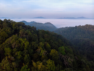 Aerial Shot Landscape Forest with Fog bank .Sea of mist with mountain morning time. tropical rain forest National Park jungle Southeast Asia. Thailand