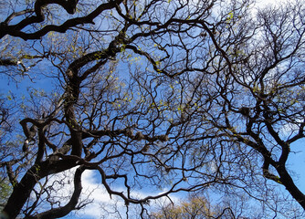 vista espectacular de la naturaleza