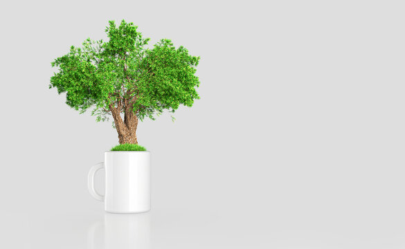 36,258 BEST "Evergreen Tree" IMAGES, STOCK PHOTOS & VECTORS | Adobe Stock