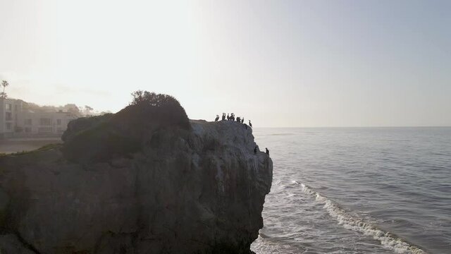Aerial view towards double-crested cormorant birds on a cliff in sunny California - Phalacrocorax auritus