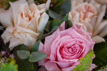Beautiful vintage background of wildflowers. Delicate flowers close-up with a blurred background.