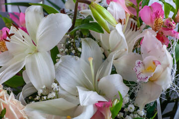 Beautiful vintage background of wildflowers. Delicate flowers close-up with a blurred background.