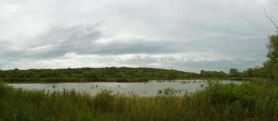 Environment preservation. Panorama view of the lake, reeds, and green forest in Pre Delta national Park in Entre Ríos, Argentina.