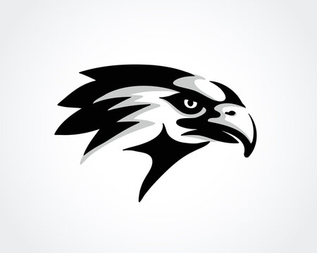 simple abstract head eagle falcon hawk dart logo design template vector illustration