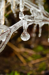 Frozen droplet
